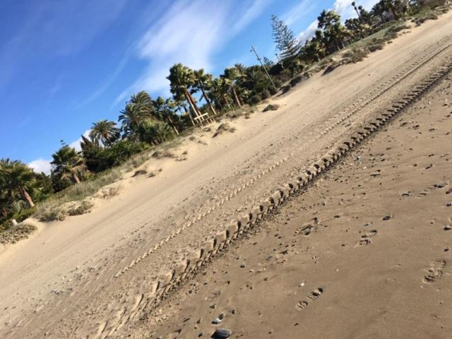 Apartamento Beachfront La Jacaranda Marbella Zewnętrze zdjęcie